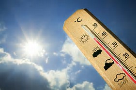 canicule